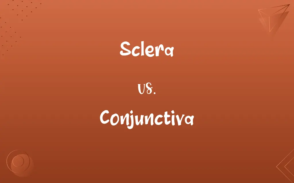 Sclera vs. Conjunctiva