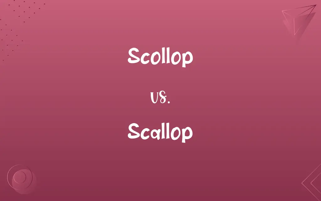 Scollop vs. Scallop