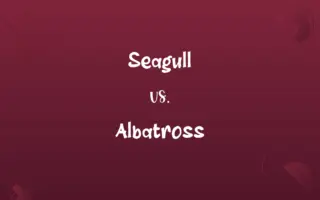 Seagull vs. Albatross