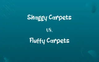 Shaggy Carpets vs. Fluffy Carpets