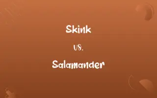 Skink vs. Salamander