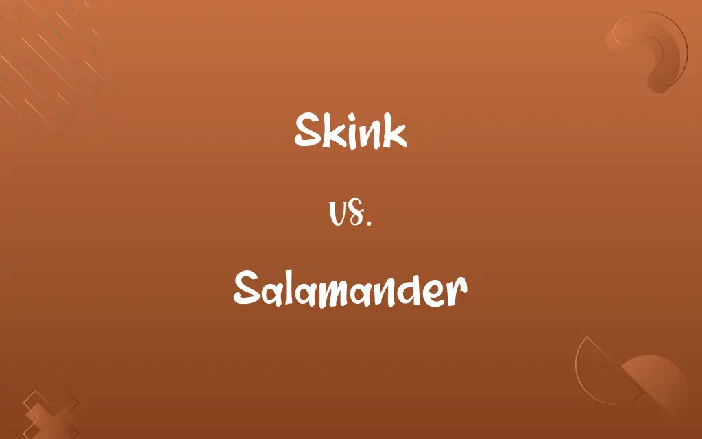 Skink vs. Salamander