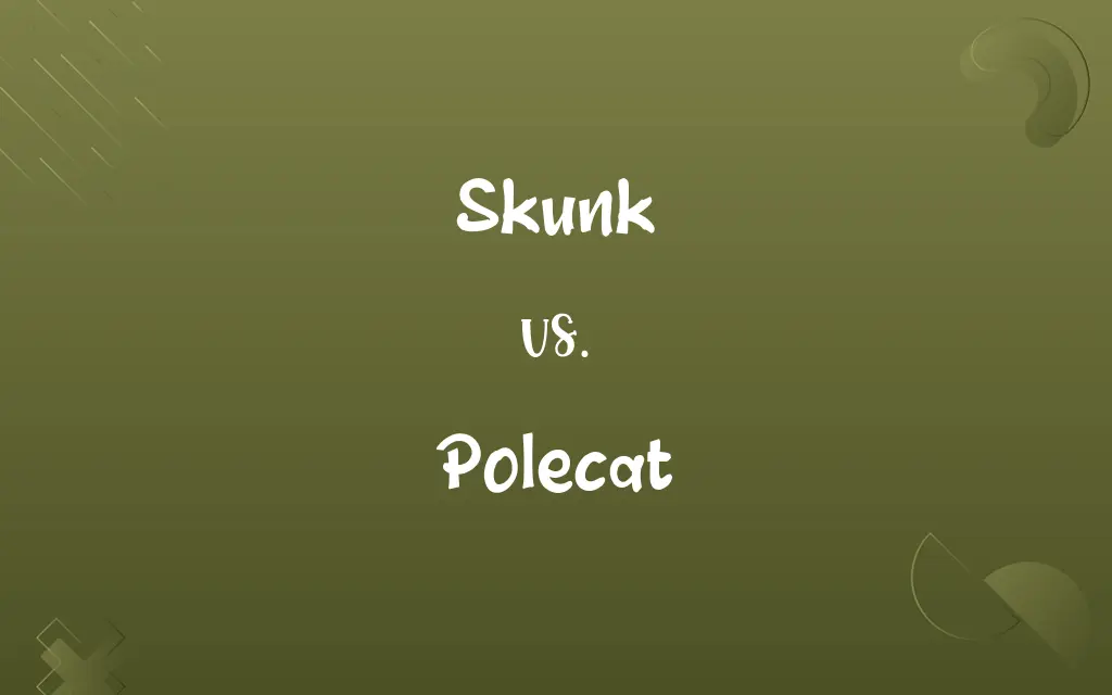 Skunk vs. Polecat