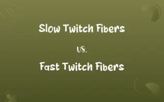 Slow Twitch Fibers vs. Fast Twitch Fibers