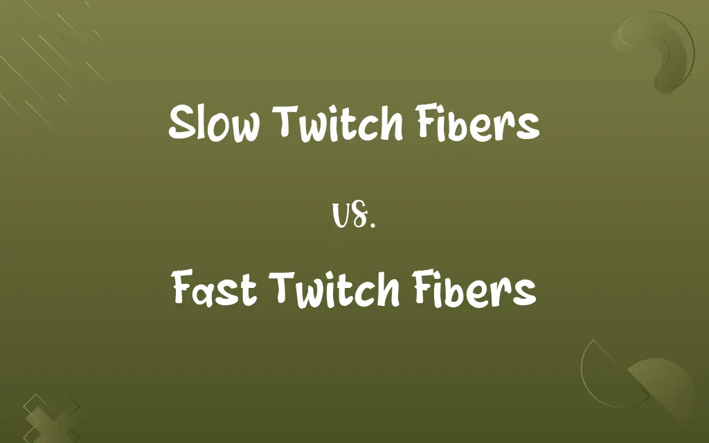 Slow Twitch Fibers vs. Fast Twitch Fibers