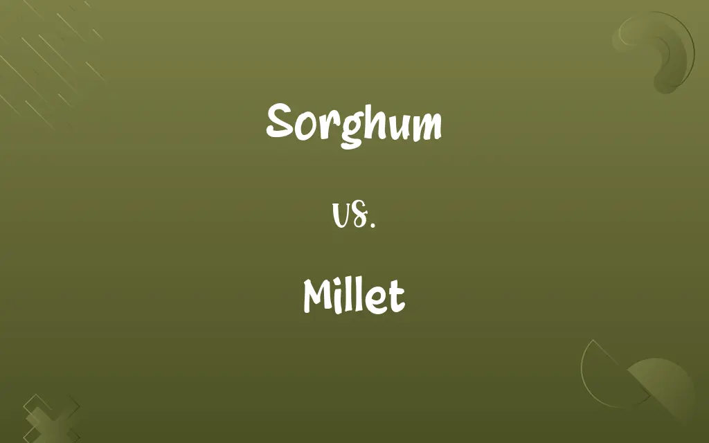 Sorghum vs. Millet