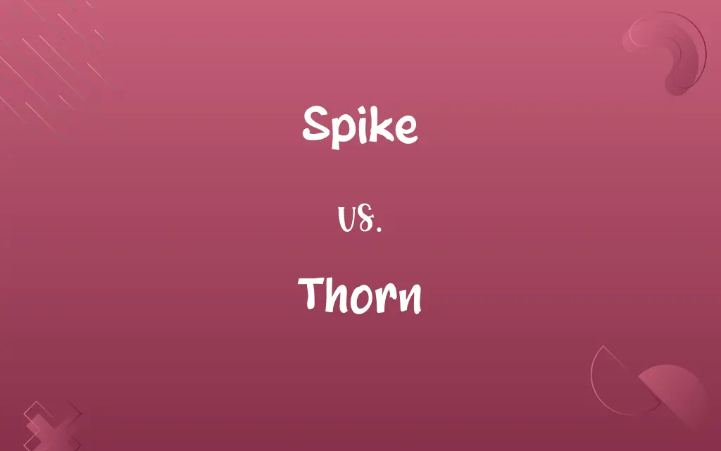 Spike vs. Thorn
