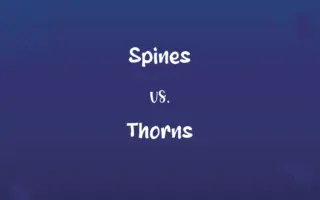 Spines vs. Thorns