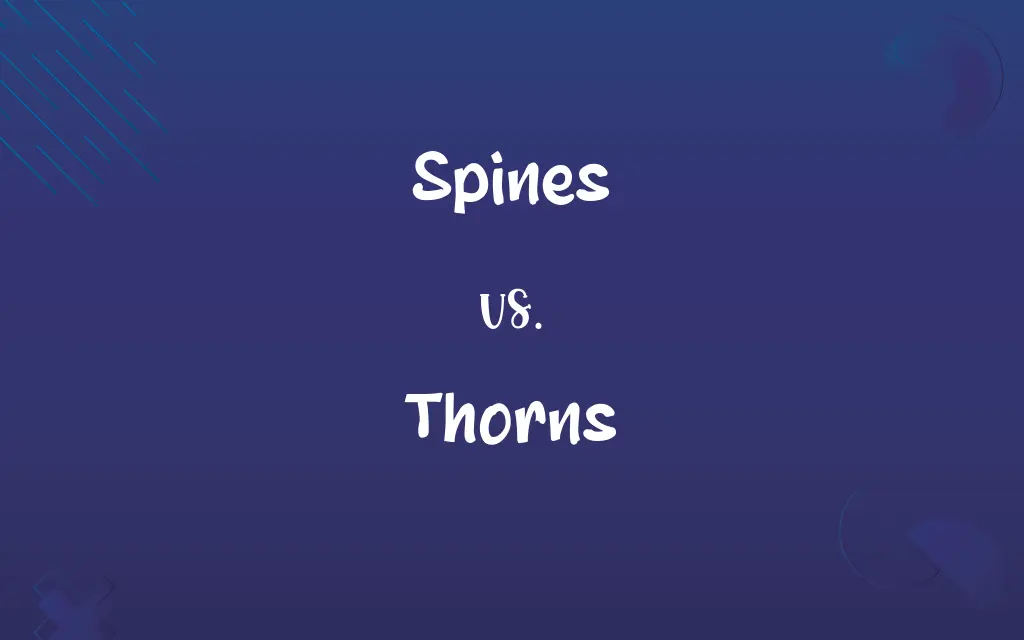 Spines vs. Thorns