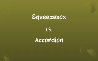 Squeezebox vs. Accordion