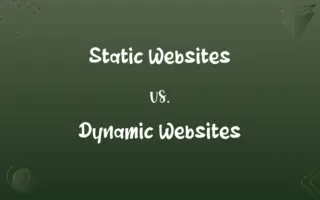 Static Websites vs. Dynamic Websites