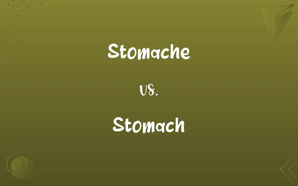 Stomache vs. Stomach