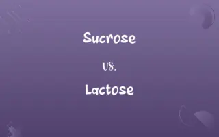 Sucrose vs. Lactose