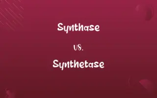 Synthase vs. Synthetase