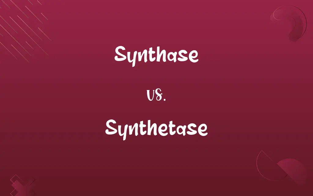 Synthase vs. Synthetase