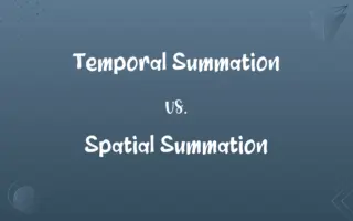 Temporal Summation vs. Spatial Summation