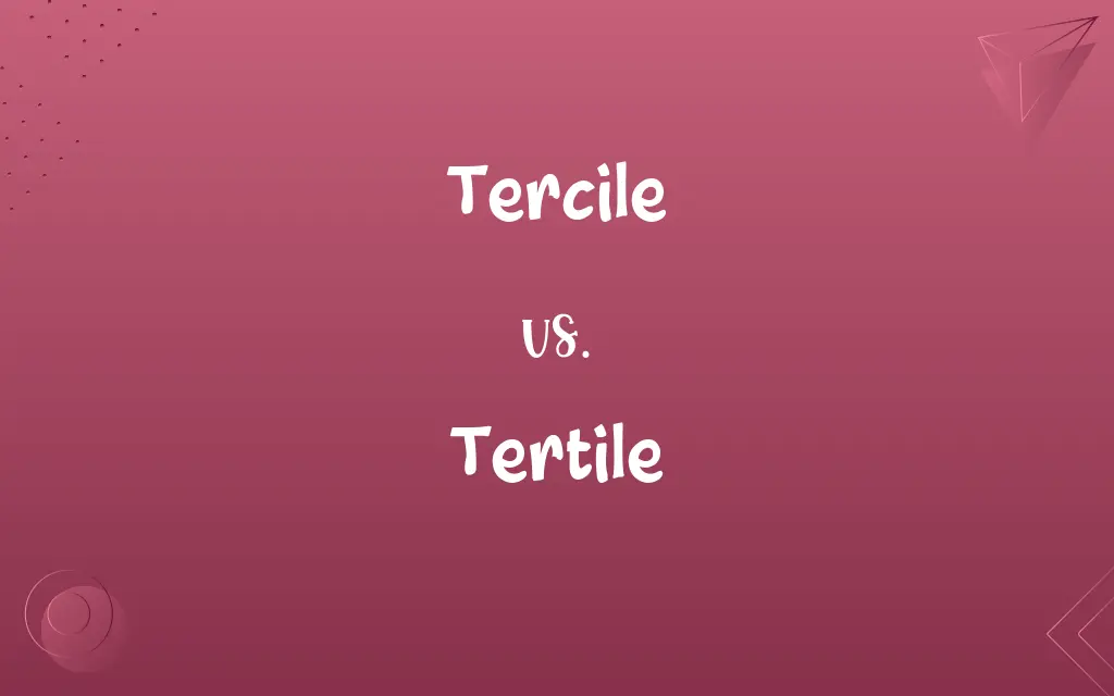 Tercile vs. Tertile