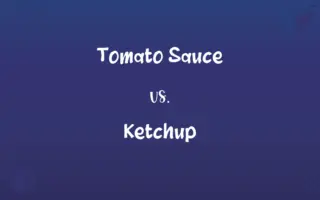 Tomato Sauce vs. Ketchup