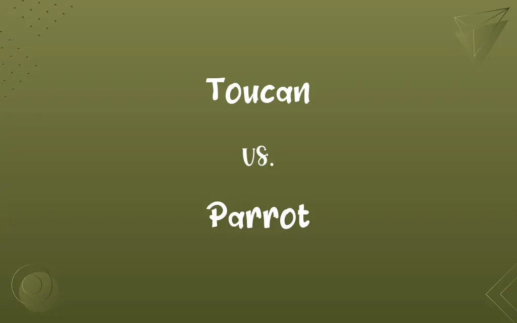 Toucan vs. Parrot