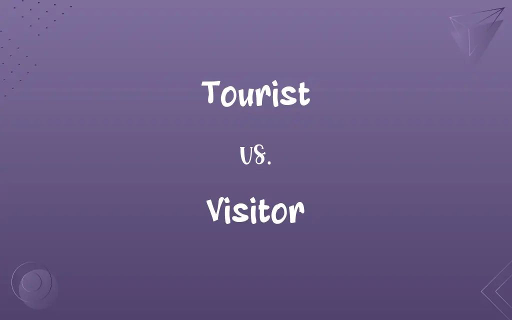visitor difference between tourist
