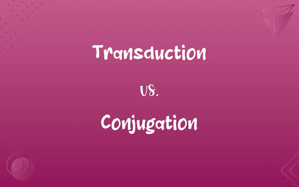 Transduction vs. Conjugation
