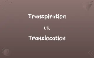 Transpiration vs. Translocation