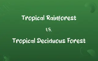 Tropical Rainforest vs. Tropical Deciduous Forest