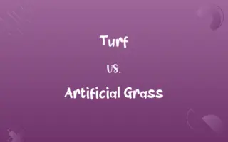 Turf vs. Artificial Grass