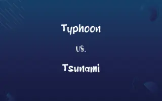 Typhoon vs. Tsunami