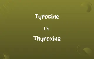 Tyrosine vs. Thyroxine