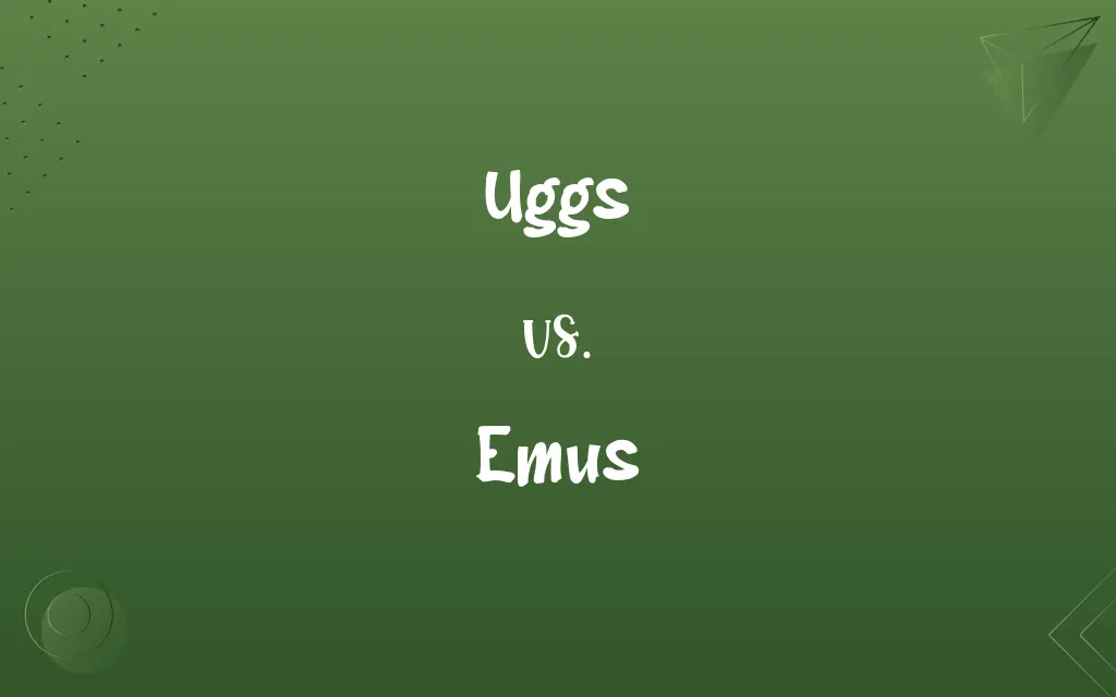 Uggs vs. Emus