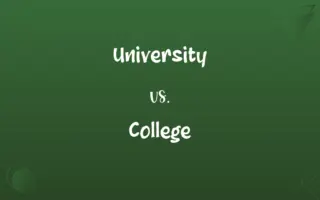 University vs. College