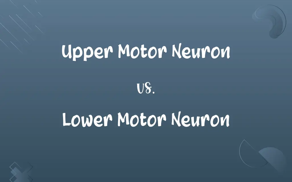 Upper Motor Neuron vs. Lower Motor Neuron