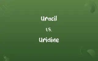 Uracil vs. Uridine