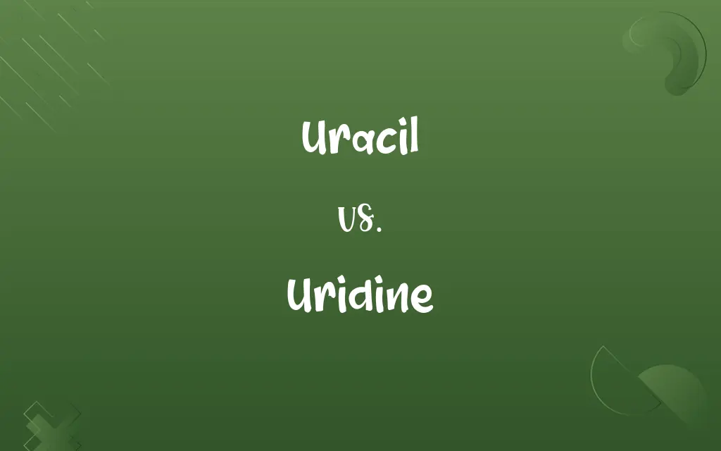 Uracil vs. Uridine