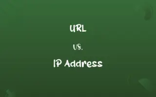 URL vs. IP Address