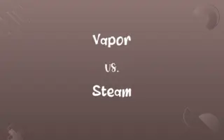 Vapor vs. Steam
