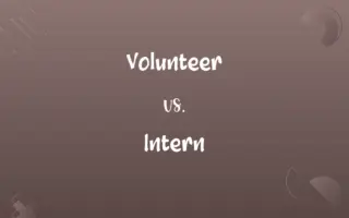 Volunteer vs. Intern