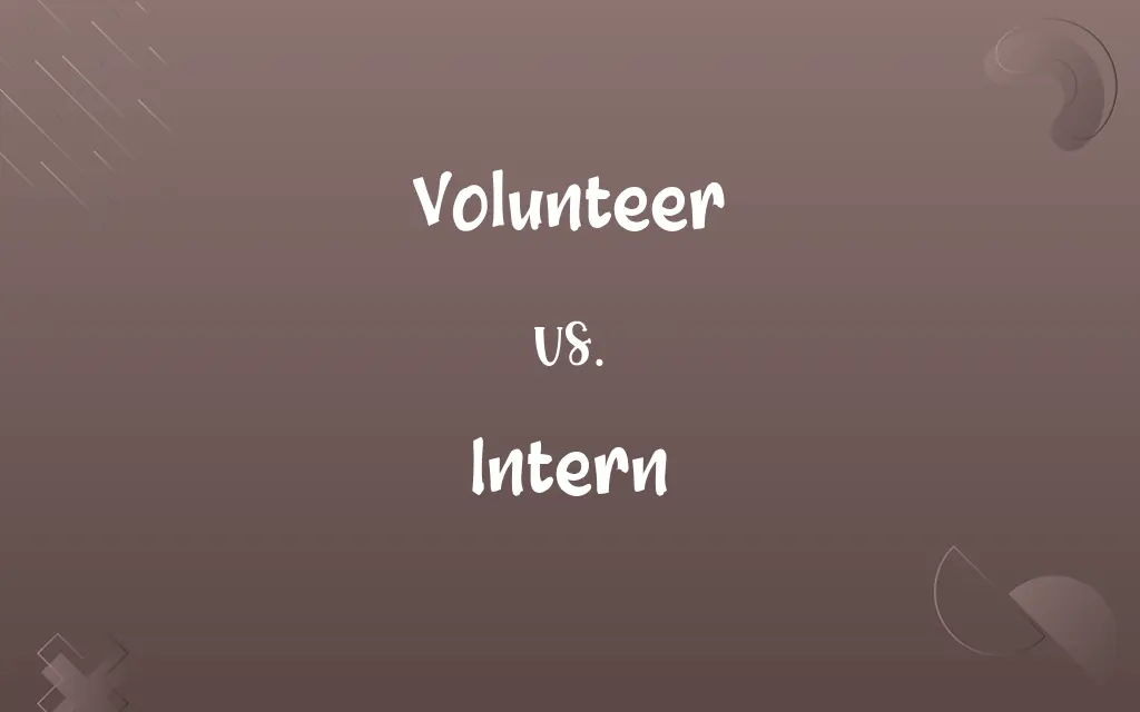 Volunteer vs. Intern