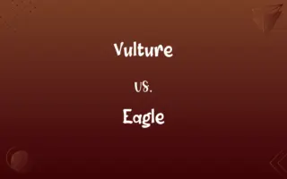 Vulture vs. Eagle
