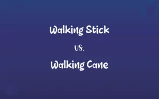 Walking Stick vs. Walking Cane