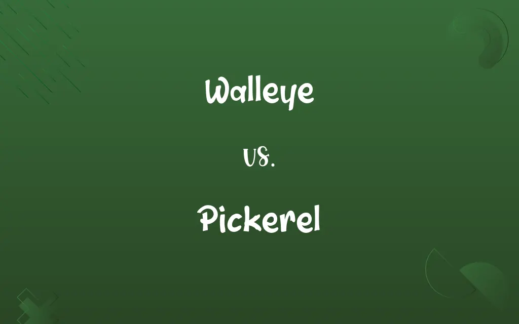 Walleye vs. Pickerel