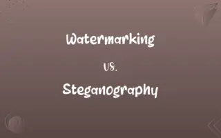Watermarking vs. Steganography
