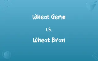 Wheat Germ vs. Wheat Bran