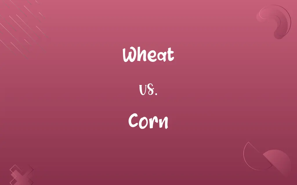 Wheat vs. Corn