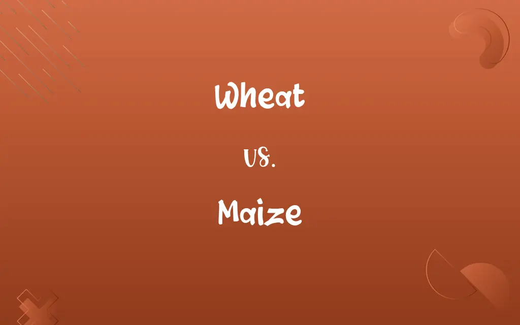 Wheat vs. Maize