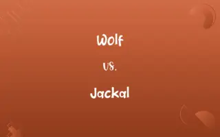 Wolf vs. Jackal