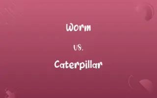 Worm vs. Caterpillar