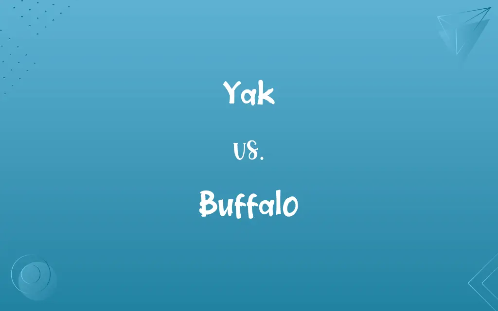 Yak vs. Buffalo