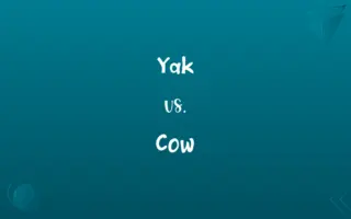 Yak vs. Cow